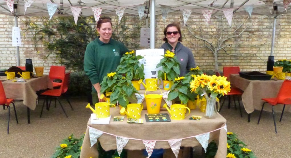 Plant a Sunflower Workshop - National Gardening Week