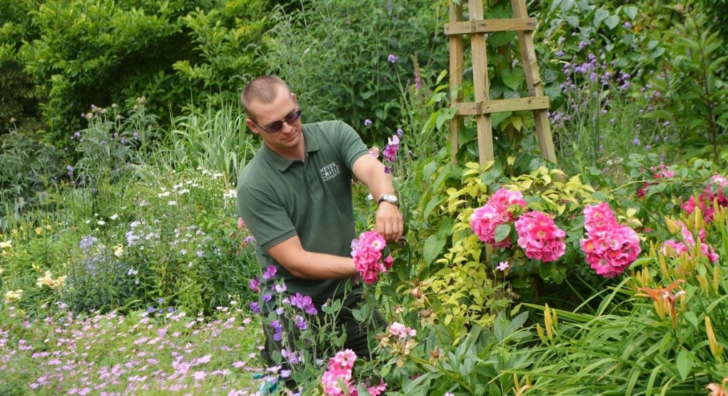 RHS Level 2 Certificate