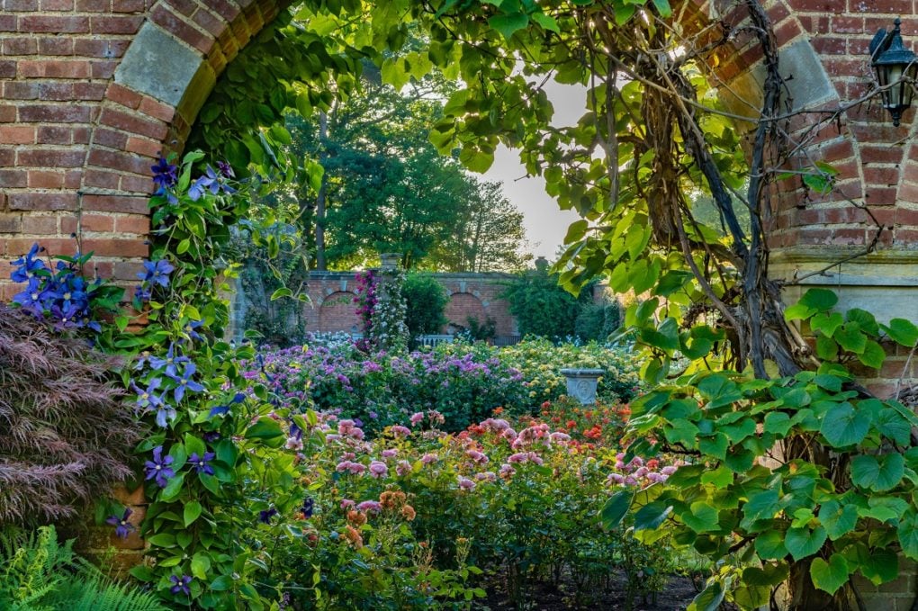 A glimpse into the Rose Garden at Hever Castle