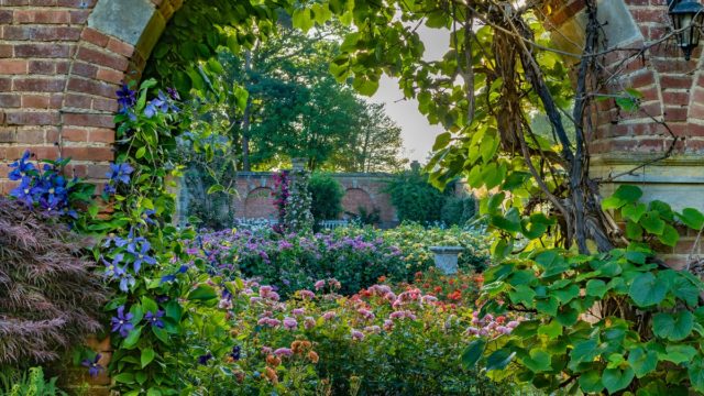A glimpse into the Rose Garden at Hever Castle