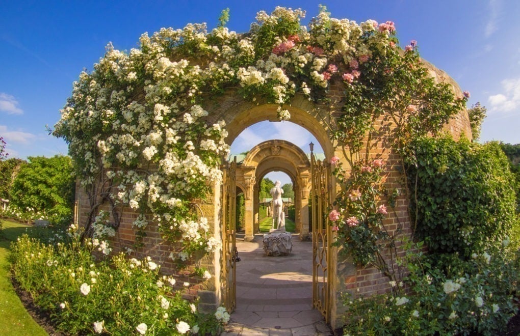 Hever Castle Garden Exhibition