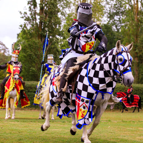 Jousting Events 2024 - Select Dates