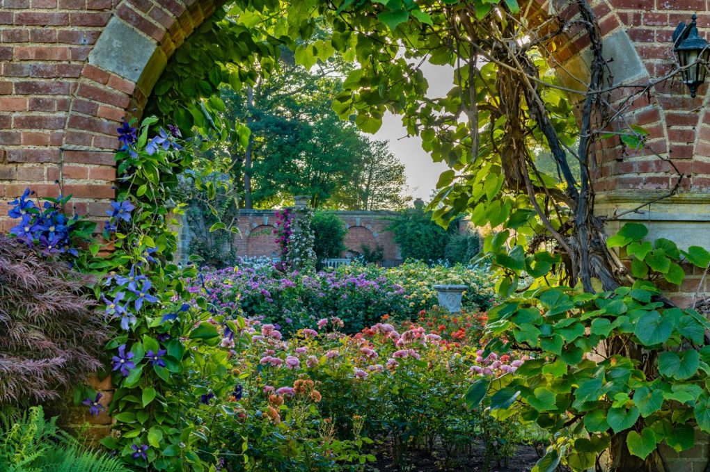 Rose Garden at Hever Castle
