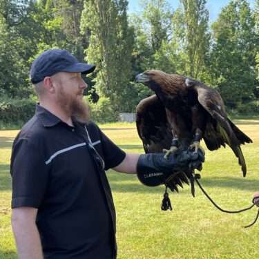 Falconry Experience - Select Dates