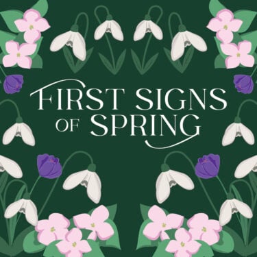 First Signs of Spring 2026