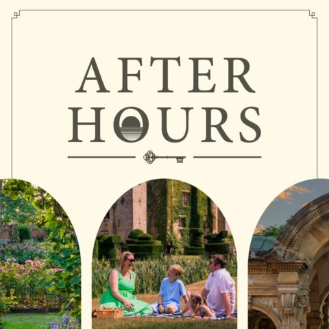 After Hours: Summer Picnic Evenings